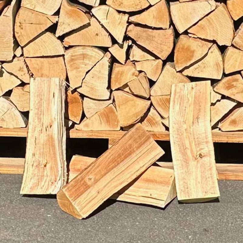 Faia seca em estufa 30 cm grade de um estere regional